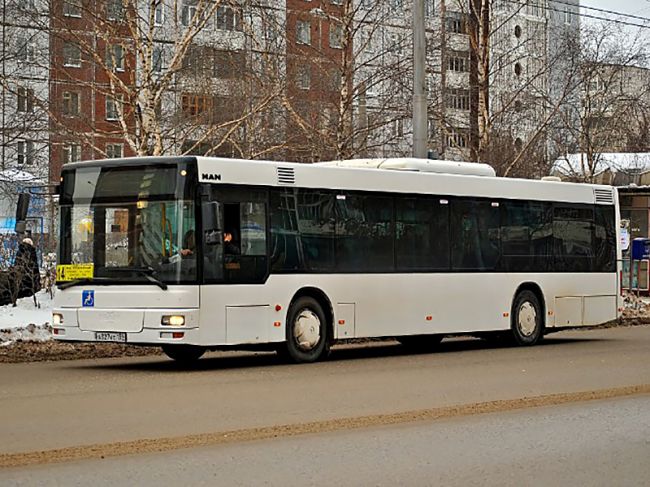 В Новый год проезд на общественном транспорте в Перми станет бесплатным