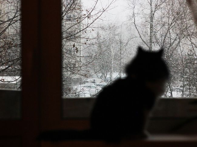 МЧС: 30 и 31 декабря в Прикамье ожидаются сильные снегопады
