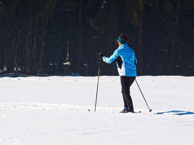 Жителей Перми приглашают покататься на лыжах в городских лесах