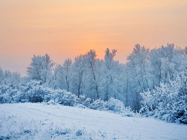 На неделе в Пермском крае похолодает до -30°