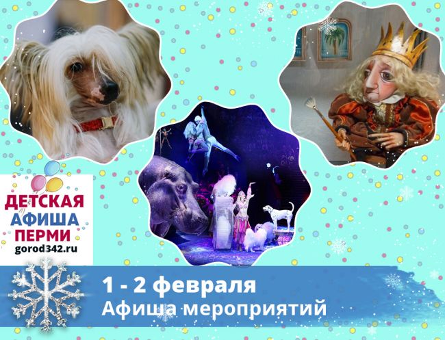 Куда сходить с детьми в Перми в выходные. 1 — 2 февраля 2020