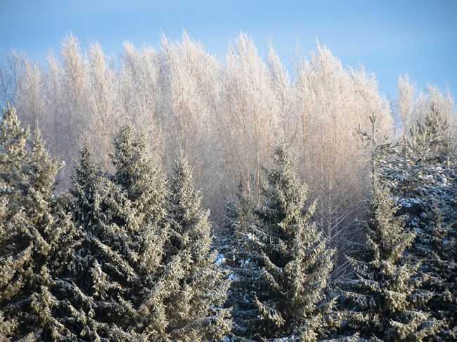 Синоптики прогнозируют похолодание до -25° в Пермском крае