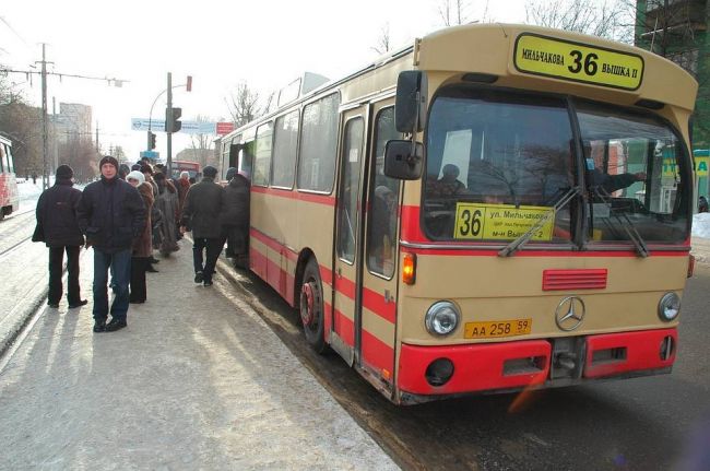 20 маршрутов автобусов войдут в систему бесплатных пересадок в Перми
