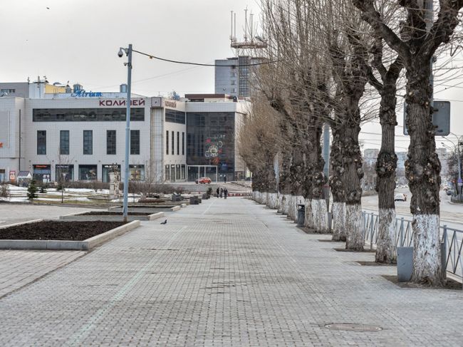 Пермь вновь стала лидером среди городов-миллионеров по индексу самоизоляции
