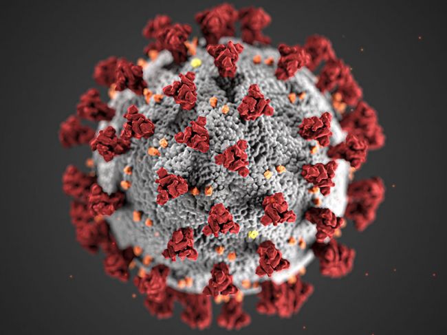 Доцент МГУ рассчитал возможные сценарии развития коронавируса в Прикамье
