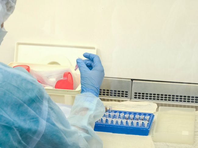В Пермском крае проведено более 55 тысяч тестов на коронавирус