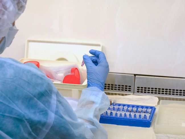 В Прикамье откроется шестая лаборатория для проведения анализов на коронавирус