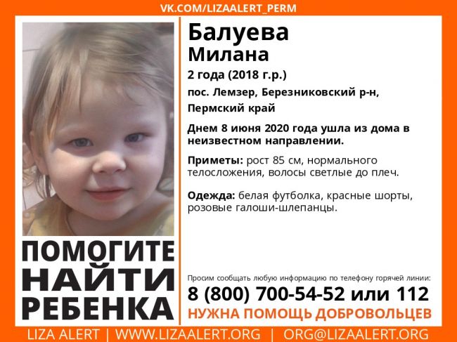 В Пермском крае без вести пропала двухлетняя девочка