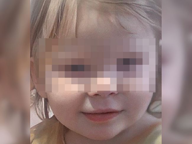 Завершены поиски двухлетней малышки, пропавшей в Пермском крае