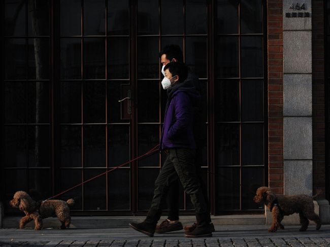 В Китае обнаружили новый вирус, который может грозить пандемией