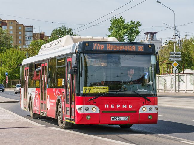 Власти Перми проверяют соблюдение температурного режима в автобусах