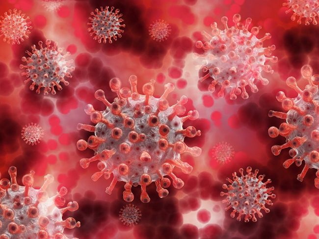 Ежедневно пациенты с коронавирусом стали умирать в Прикамье