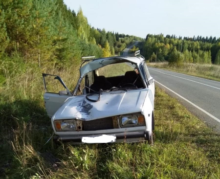 В Пермском крае 74-летний водитель «Жигулей» сбил лося