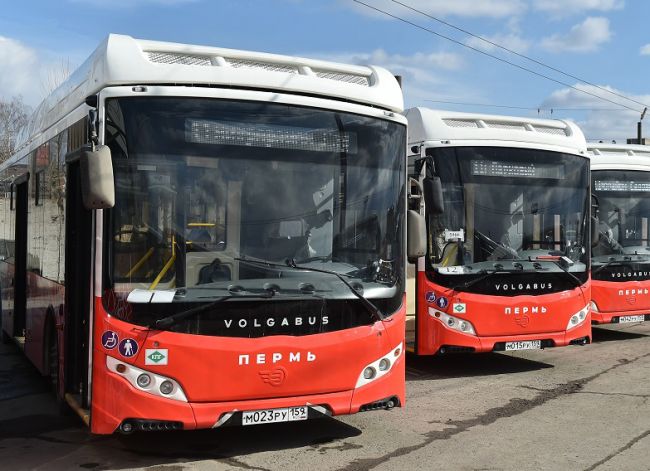 В Перми планируют сократить 13 автобусных маршрутов