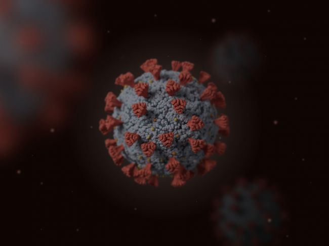 Вирусологи назвали два сценария развития пандемии коронавируса в России