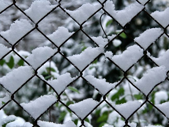 Синоптики рассказали, когда в Перми выпадет первый снег