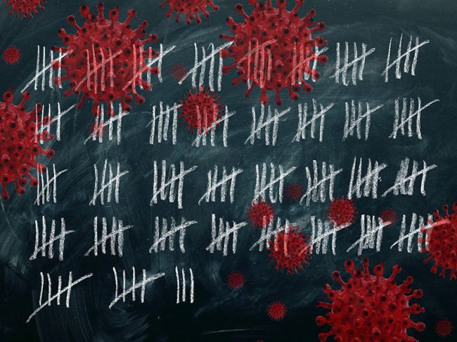 В Пермском крае в 75 школах и 11 детсадах обнаружен коронавирус