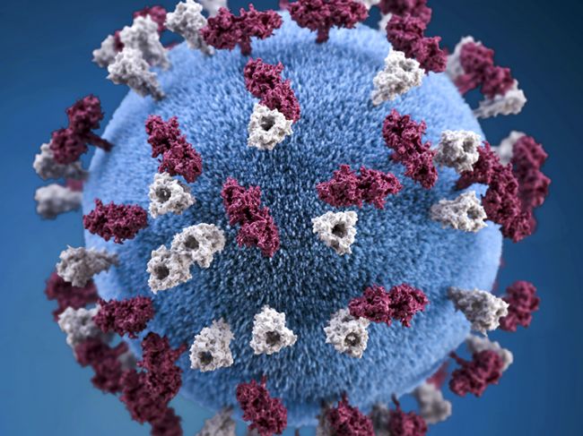 Ученые обнаружили новый симптом коронавируса