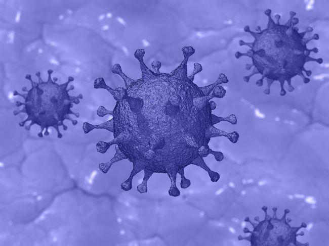 Последние новости о коронавирусе. 5 ноября