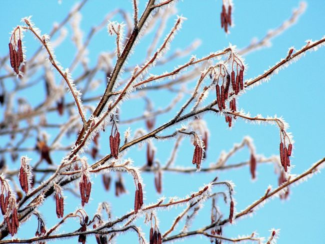 В выходные в Пермском крае похолодает до -24°