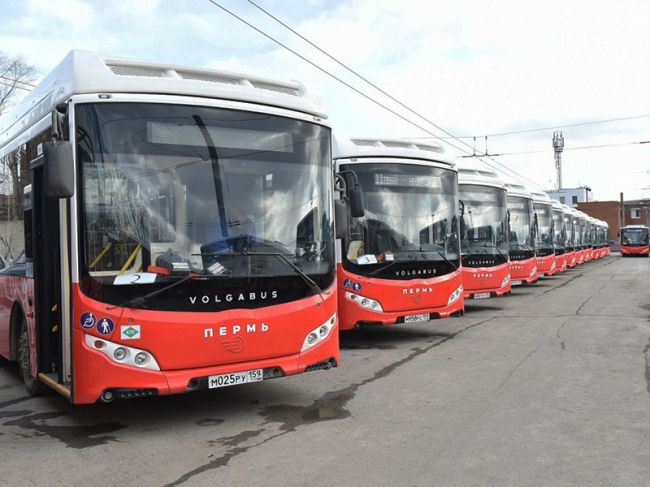 С 1 декабря в Перми ликвидируют автобусный маршрут №42