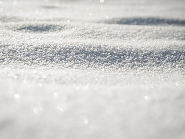 Метеорологи объяснили, почему в Пермском крае нет снега