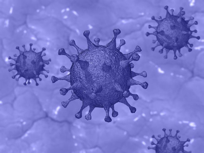 Последние новости о коронавирусе. 18 декабря