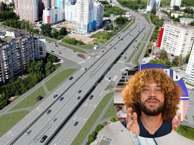 Блогер Варламов раскритиковал проект продления улицы Крисанова
