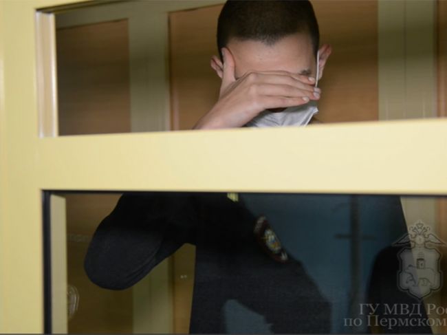 В Краснокамске осудили юношу, который напал с ножом на мать с ребенком
