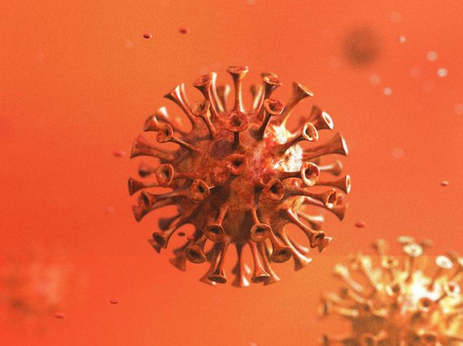 Последние новости о коронавирусе. 11 января