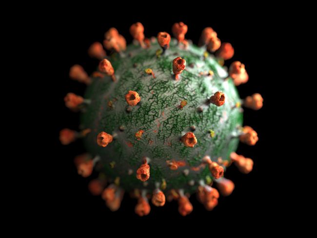 Ученые обнаружили «российский» штамм коронавируса