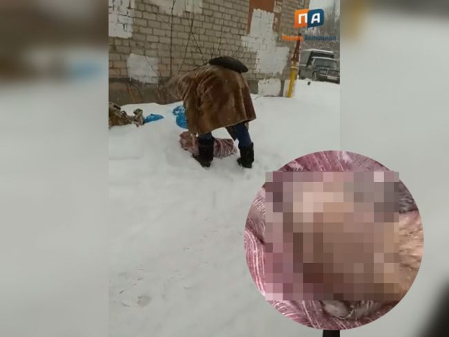 Пенсионерка в Перми скинула собаку из окна и выбросила труп в мусорку