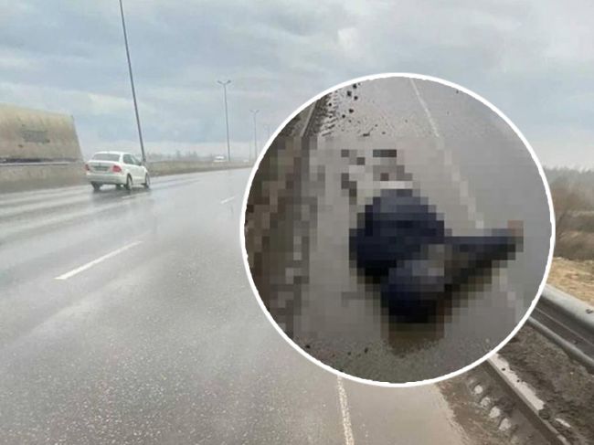 Водитель, насмерть сбивший пешехода на Красавинском мосту, задержан
