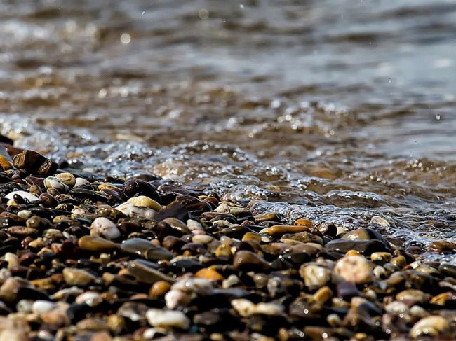 В Роспотребнадзоре назвали пять пляжей в Прикамье, которые опасны для купания