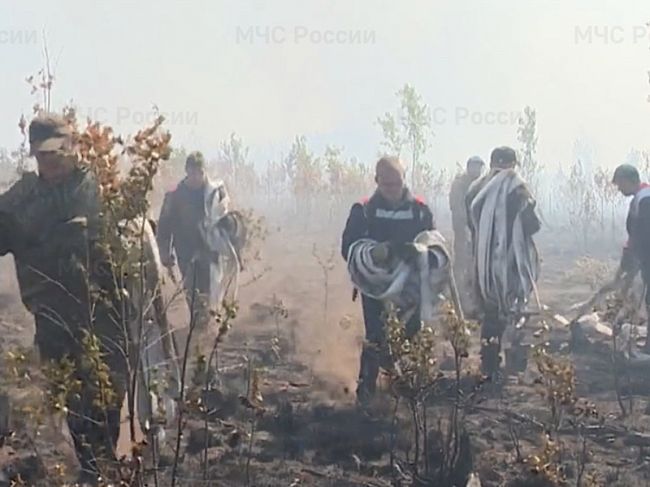 Пермь накрыло дымом от лесного пожара