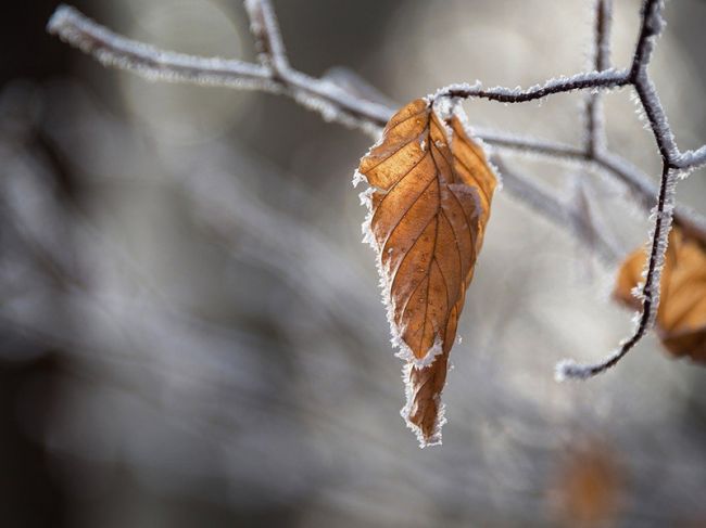 В выходные в Прикамье потеплеет до +7°