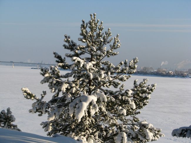 Синоптики рассказали о погоде в первые выходные декабря в Прикамье