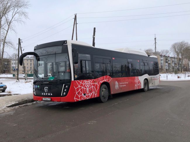 В Перми начнет курсировать новый автобусный маршрут