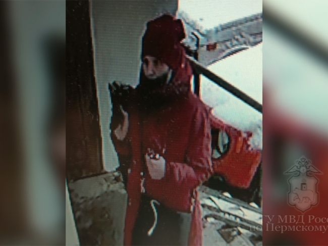 Полиция в Перми разыскивает девушку, похитившую детскую коляску