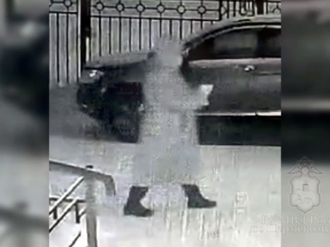 В Перми ищут женщину, которая ударила пенсионерку ножом и украла сумку