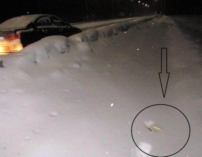 В Краснокамске пассажир иномарки выкинул из окна перчатку с кокаином