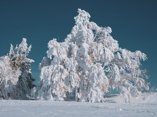 В Пермском крае морозы побили температурный рекорд 1905 года