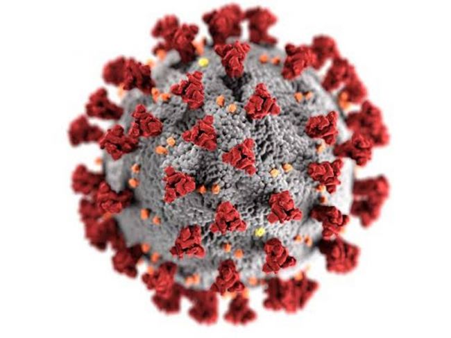 За сутки в Прикамье выявлено 228 новых случаев коронавируса