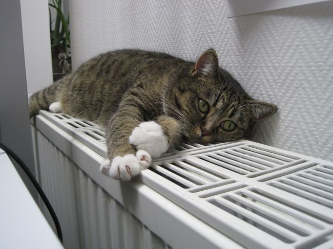 Мэрия Перми: отопление дали во все многоквартирные дома