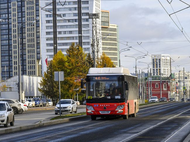 Общественный транспорт в Перми признали лучшим в России