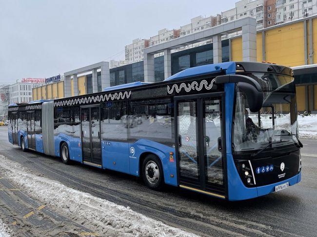 Автобусы-гармошки появятся в Перми после 2025 года