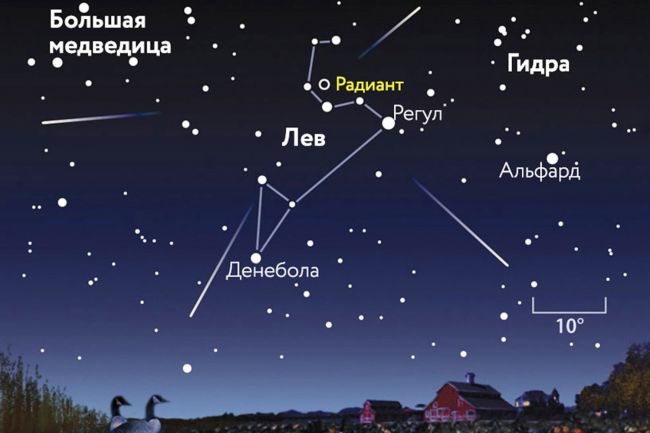 Жители Пермского края смогут увидеть звездный дождь