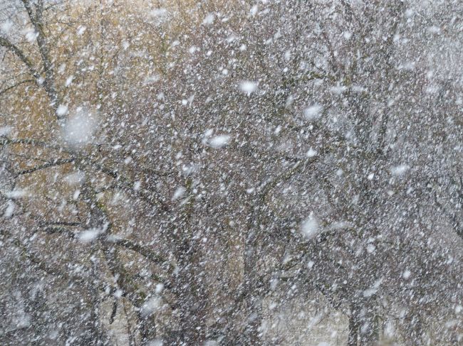 Пермские синоптики прогнозируют сильнейшие снегопады в новогоднюю ночь