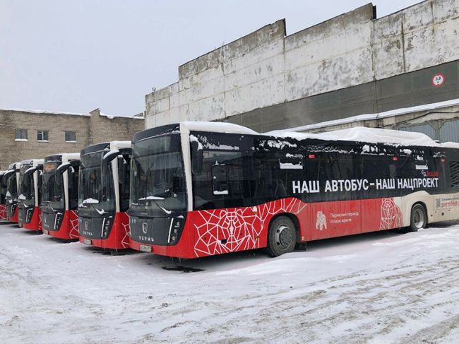 В Перми на бескондукторную оплату проезда перейдут автобусы №56