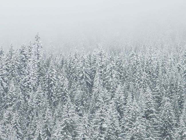 В Пермском крае снова ударят морозы до -30˚
